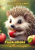 TüskeBöki - illusztrált mesekönyv borító, NETTLESZ könyvek