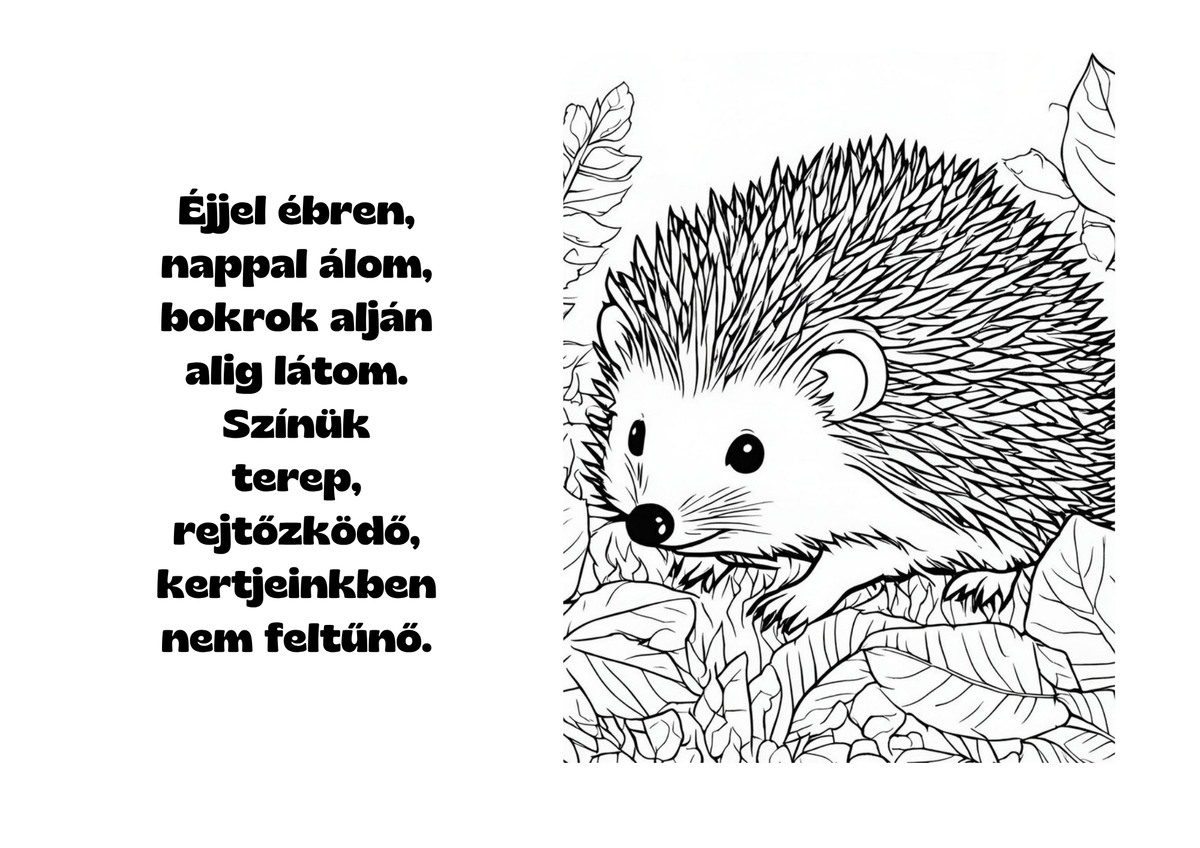 TüskeBöki kifestőlap – sünös oldal versszakkal