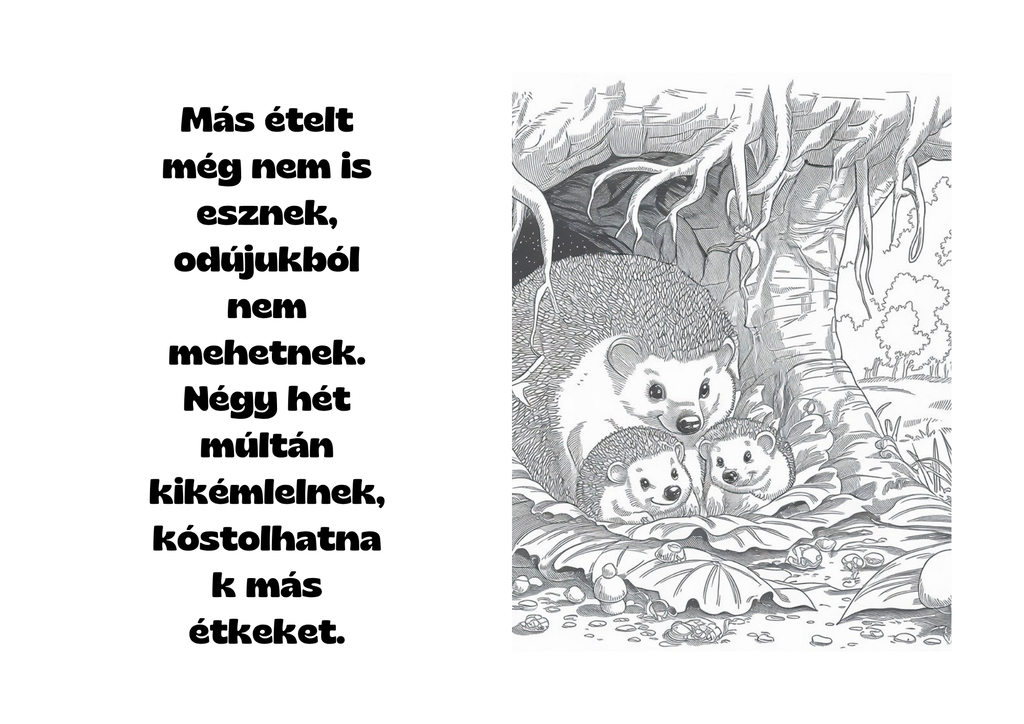 TüskeBöki kifestőlap – sünös oldal versszakkal