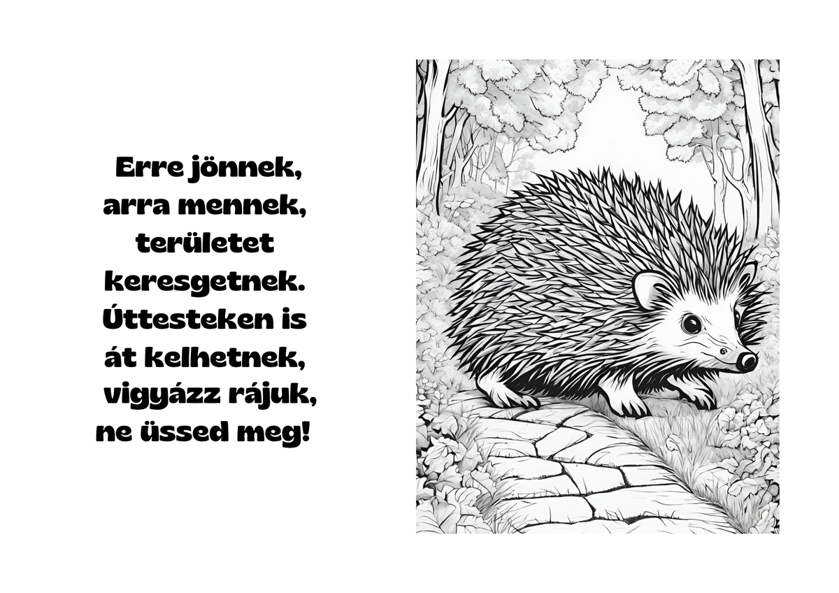 TüskeBöki kifestőlap – sünös oldal versszakkal