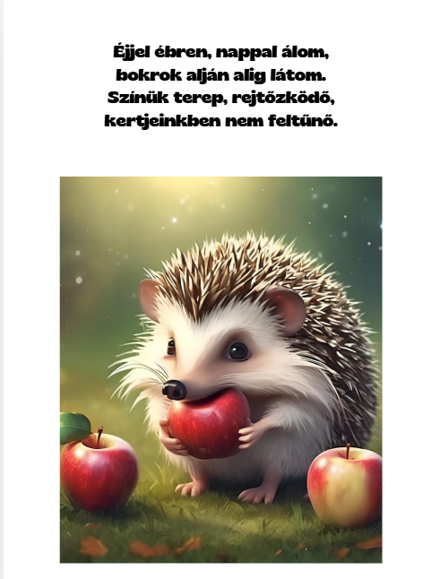 TüskeBöki illusztrált mesekönyv – belső oldal