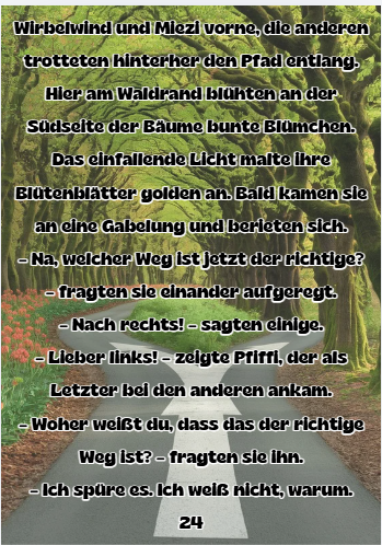 Abenteuer im Smaragdwald – Band 1